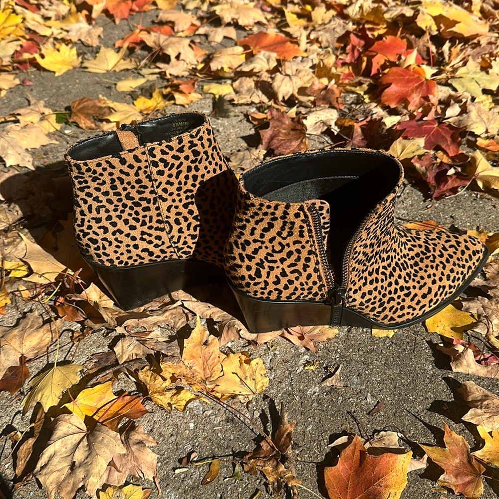 Cheetah print wedge booties